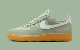The Nike Air Force 1 low 